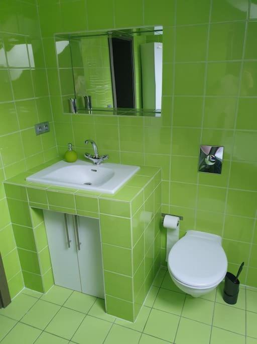 Apartman Radcice 70M2 V Rodinne Vile Liberec Bagian luar foto