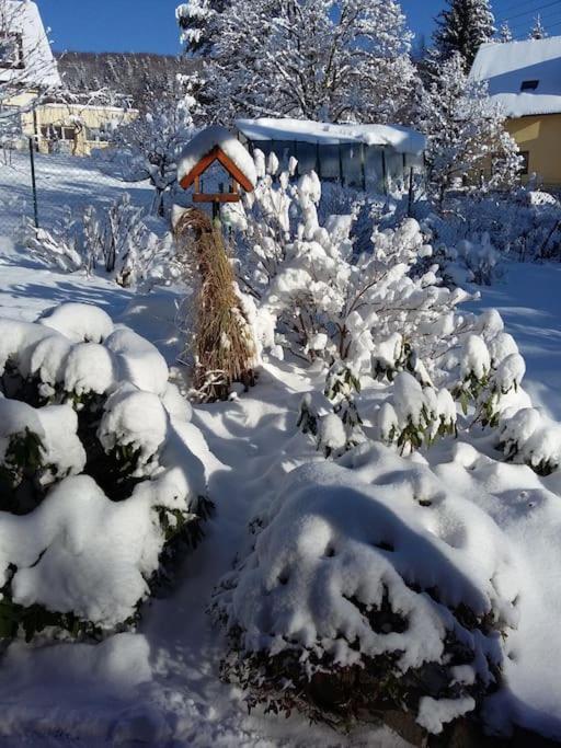 Apartman Radcice 70M2 V Rodinne Vile Liberec Bagian luar foto